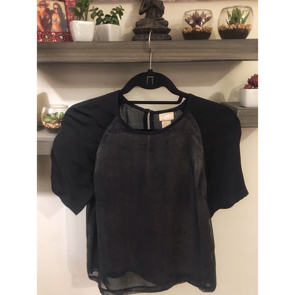 Semi-sheer Black Princess Sleeved Shiny Blouse